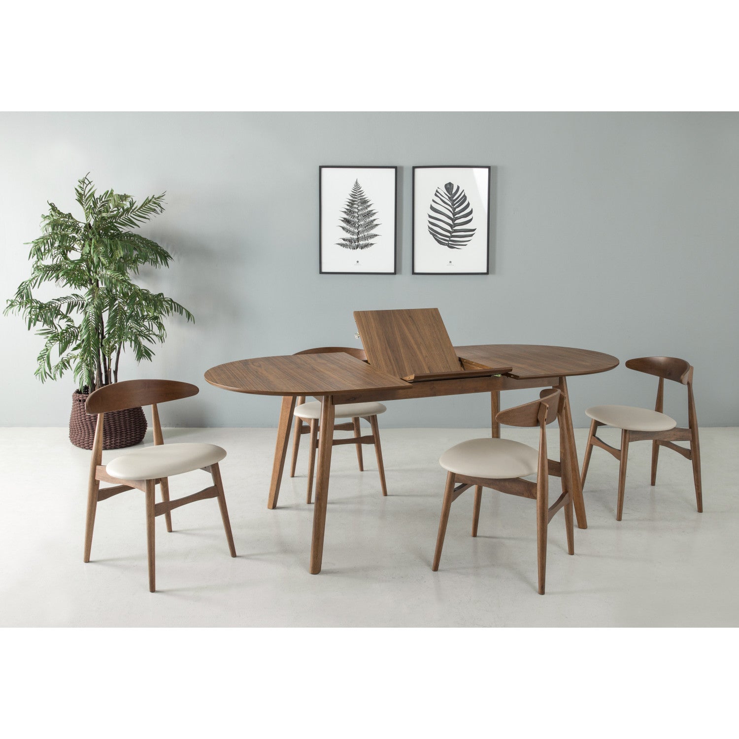 Orlis Dining Chair