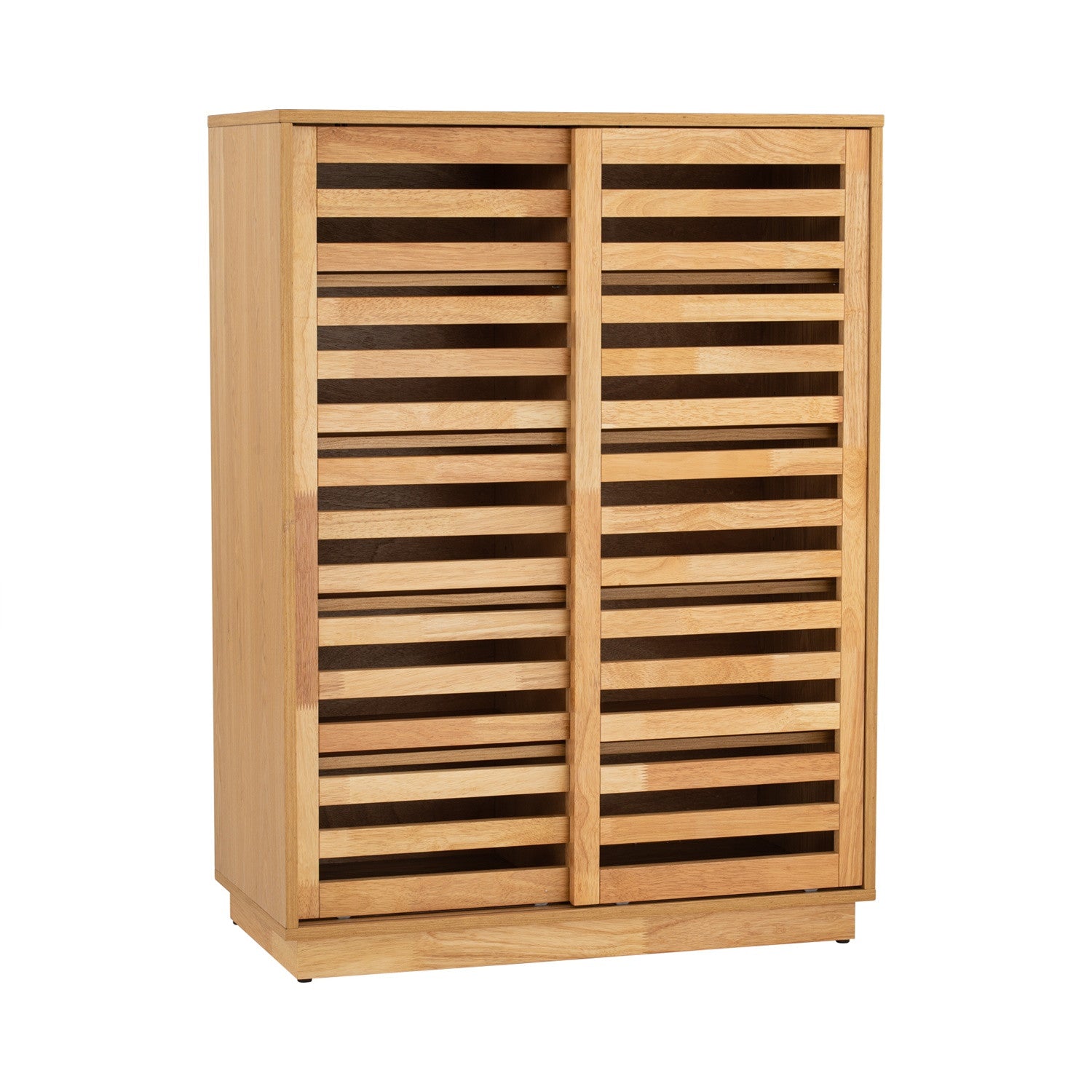 Eloria 2 Door Shoe Cabinet