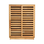 Eloria 2 Door Shoe Cabinet