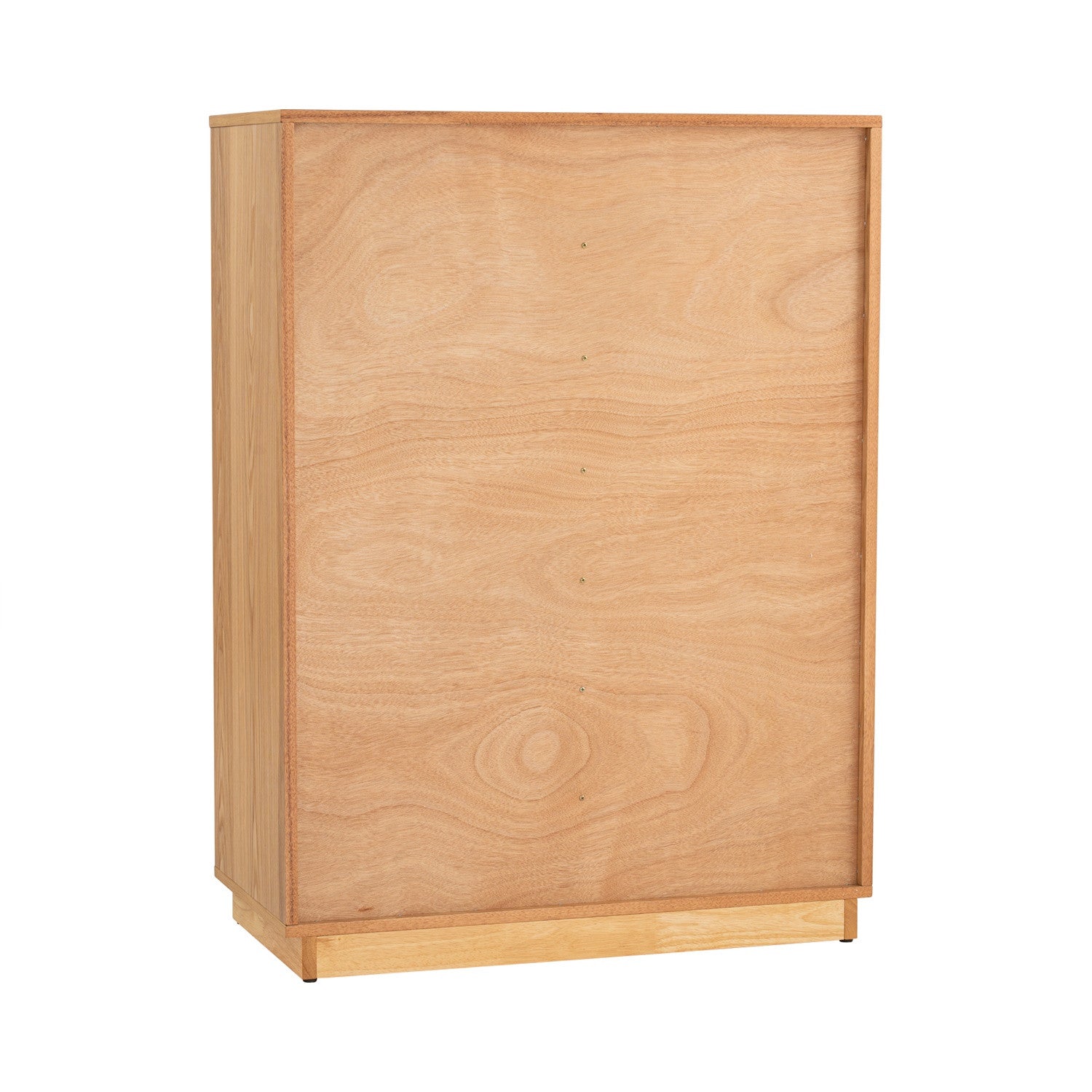 Eloria 2 Door Shoe Cabinet